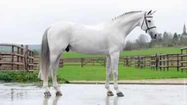 @cyrielletemmermanphoto