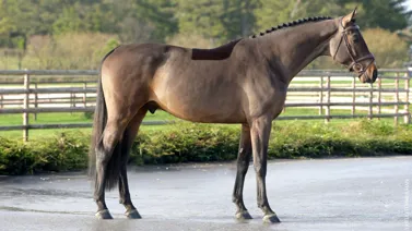 @cyrielletemmermanphoto