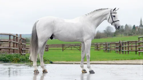     @cyrielletemmermanphoto