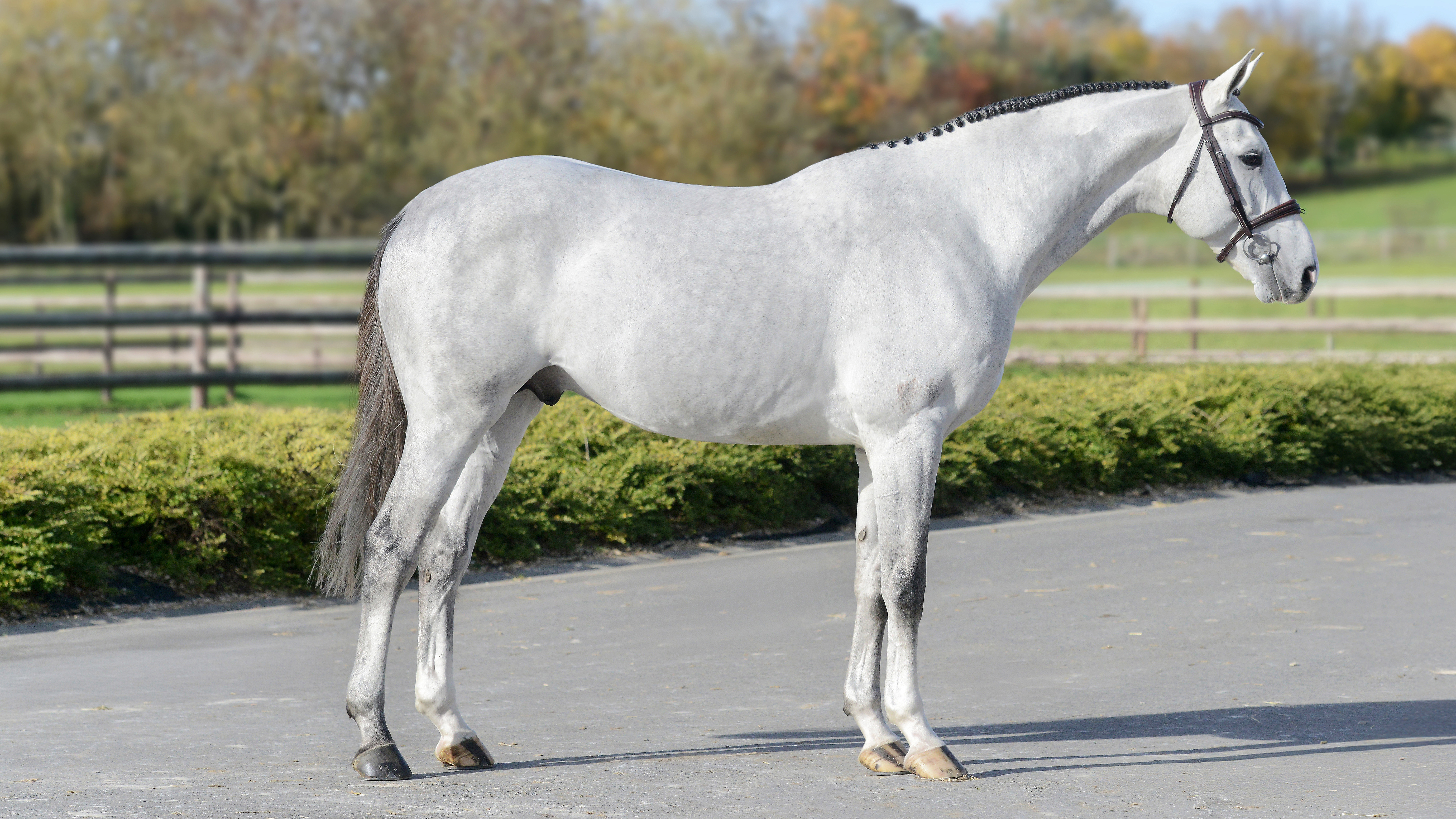 @cyrielletemmermanphotos