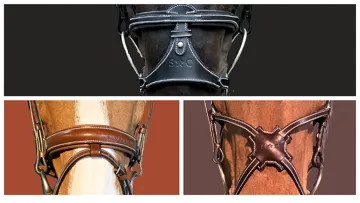 À composer ou prêt-à-porter, le choix d’habiller de cuir et de couronner votre partenaire suit vos besoins et vos désirs