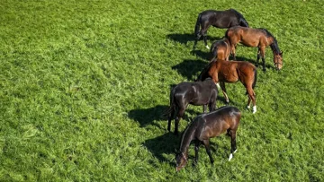 Cavlor vous propose un webinaire gratuit, et vous permet de poser toutes vos questions à leurs experts! Tentez de gagner un pack exclusif en live! 