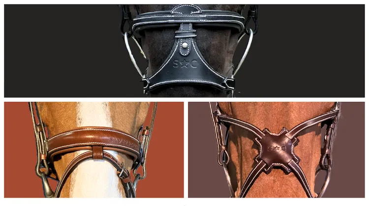 À composer ou prêt-à-porter, le choix d’habiller de cuir et de couronner votre partenaire suit vos besoins et vos désirs