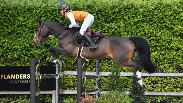 Deux jeunes cavaliers vous proposent une sélection de treize chevaux pour la vente Flanders Sales Auction 