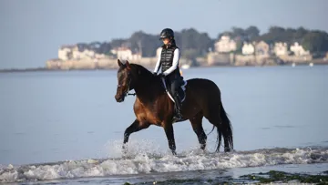 Pour tous les lève-tôt présents à La Baule le temps du L’image est traditionnelle jumping: celle des meilleurs chevaux du monde sur la plage à l’heure où les premiers rayons du soleil percent l’horizon.