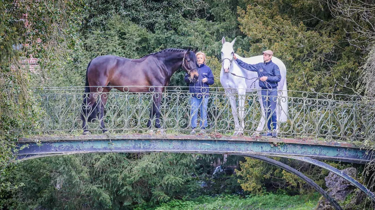 Artiste - Lloyd - Patrick Mc Entee - Cartherine de Buyl