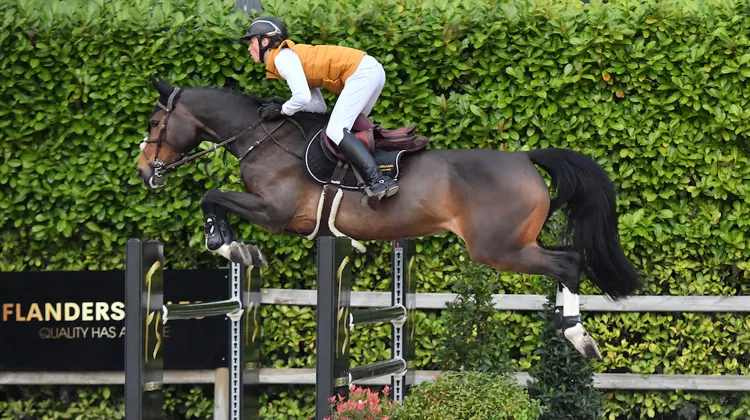 Deux jeunes cavaliers vous proposent une sélection de treize chevaux pour la vente Flanders Sales Auction 