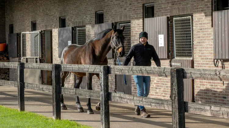 Ici aux écuries de Muze, en 2020, Elvis ter Putte compte déjà plus de mille produits à travers le monde.