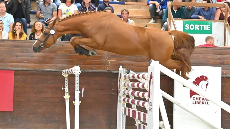 Jumping du Rozel, top price de la soirée du vendredi