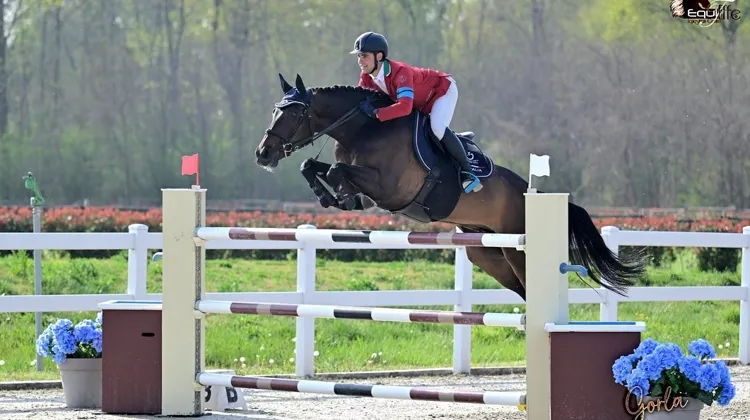 Lorenzo Correddu s'est imposé hier dans le Grand Prix Jeunes Cavaliers de Gorla Minore