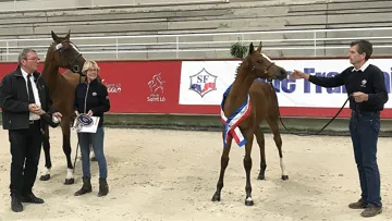 Larissa Blue Diam, championne suprême