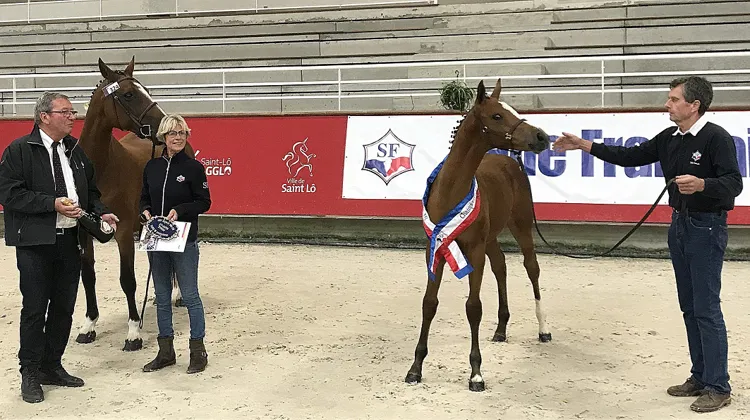 Larissa Blue Diam, championne suprême