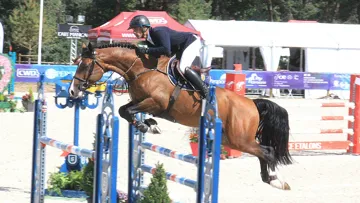 Gold Sky de Pégase, champion des mâles et hongres de cinq ans