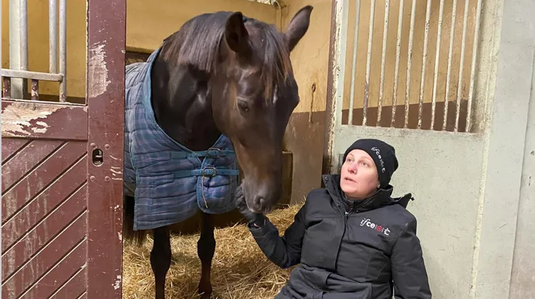 Céline Gerny présente ici Korsgaard Toledo*IFCE.