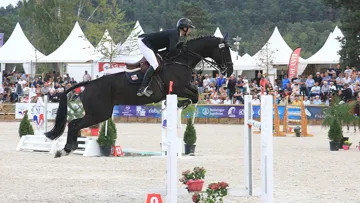 French Lover, champion des six ans mâles et hongres