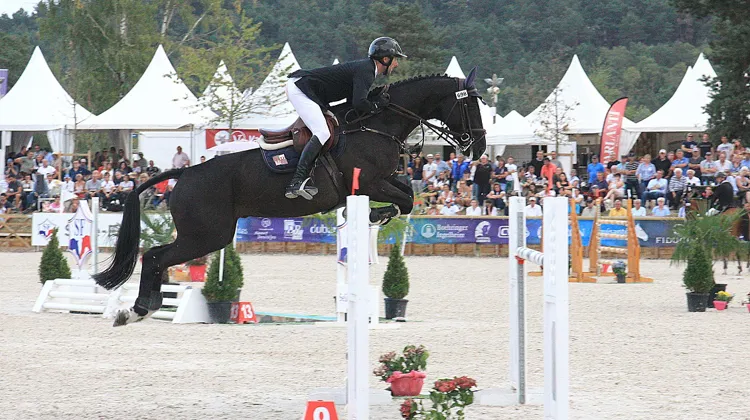 French Lover, champion des six ans mâles et hongres