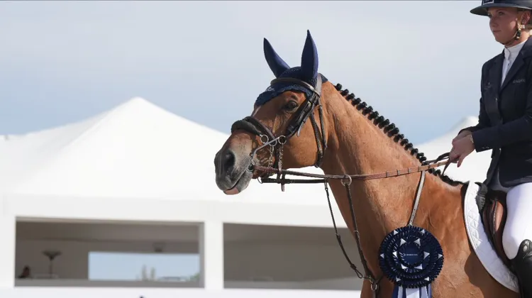 À Grimaud, Jana Wargers coiffe au poteau Philippe Rozier et Kevin Staut.
