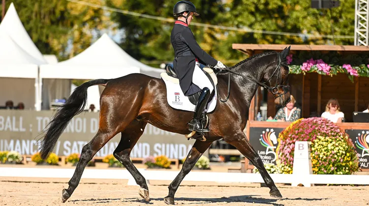 Tom McEwen et Brookfield Quality ont très provisoirement pris la tête des opération à Pau
