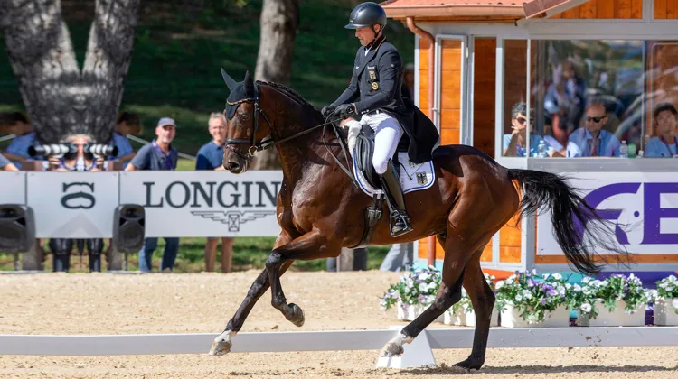 Pas un spectateur présent sur le site n’a manqué la reprise de Michael Jung et Fischer Chipmunk FRH.