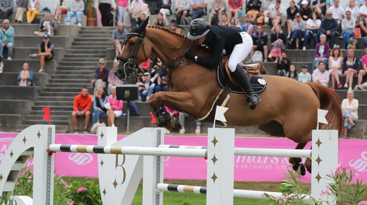 Dubai du Cèdre quitte Margaux Rocuet mais restera sous selle française.