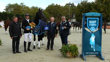 Dartagnan de Beliard majestueux Champion des 4 ans
