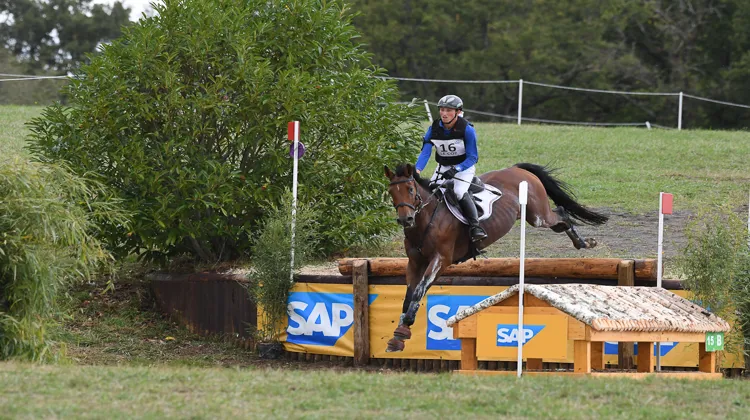 Gireg Le Coz et Aisprit de la Loge l'an passé à Lignières. 
