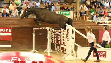 Image du Breuil, top price de la soirée de jeudi