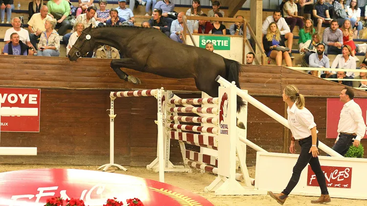 Image du Breuil, top price de la soirée de jeudi