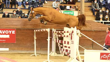 Hulk des Forêts adjugé 85.000 euros