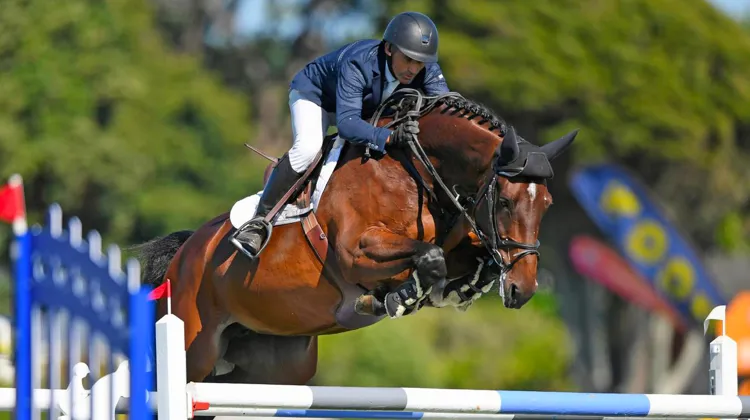 Phillip Steiner et Cassina Dior, sa très belle et performante jument, viennent tous deux de Nouvelle-Zélande.