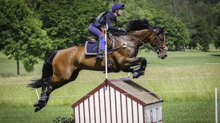 Lisa Gualtieri et A d'Aunis ont pris la troisième place à l'issue du dressage 