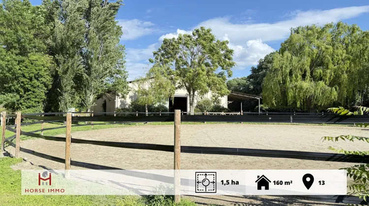 À Saint-Rémy-de-Provence, découvrez une propriété équestre d’exception sur 1,5 hectare alliant installations haut de gamme, bien-être équin et habitation élégante au cœur de la nature provençale.