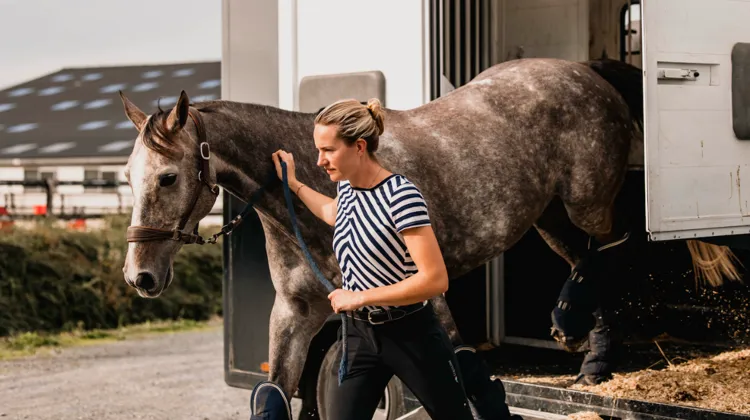 La plateforme française Ogalo permet de réserver facilement un transport pour son cheval tout en optimisant les trajets des transporteurs grâce à une solution sécurisée et connectée entre les deux parties.