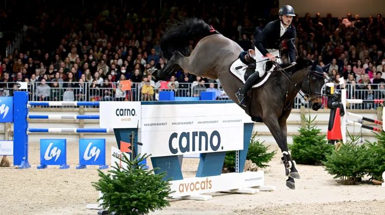 Stefan Eder et Condaro ont créé la surprise cet après-midi.
