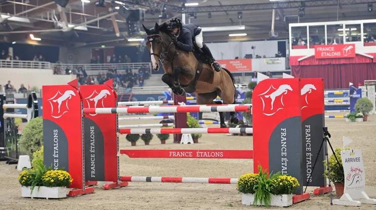 Julien Anquetin et Blood Diamond du Pont se sont imposés ce soir à Saint-Lô