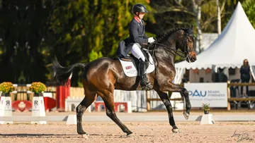 La prestation de Tom McEwen et JL Dublin ont convaincu deux des trois juges de les placer en tête de la compétition. La Britannique Nikki Herbert a toutefois préféré la performance de Rosalind Canter et Izilot DHI.