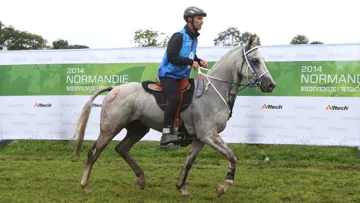 Jean-Philippe Frances sera présent aux BEEM