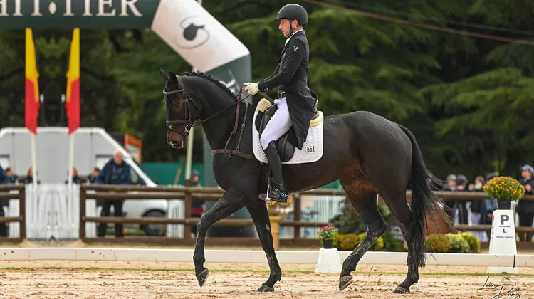 Tim Price et Viscount Viktor ont pris la tête des opérations, sans créer le moindre écart significatif avec leurs meilleurs concurrents.
