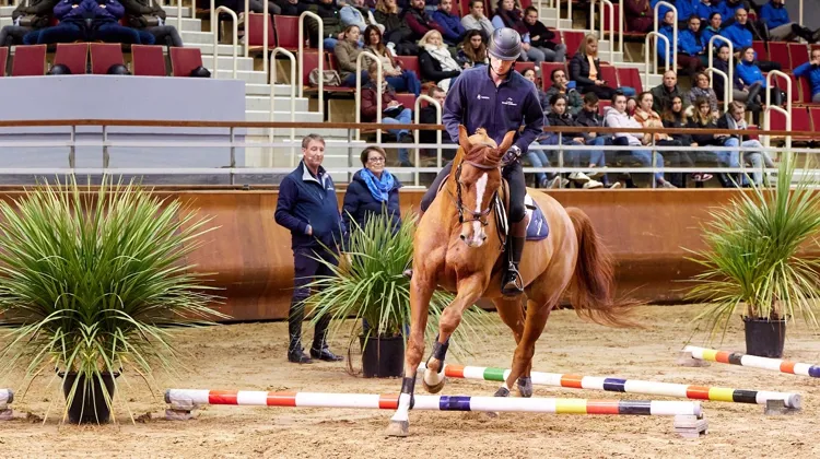 Les jeunes cavaliers du programme ont notamment travaillé sous la responsabilité de la légende allemande Franke Sloothaak, dont les propos ont été traduits pour le public par Adeline Wirth-Nègre.