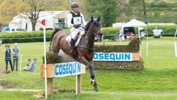 Michael Jung et Fischer Chipmunk FRH.