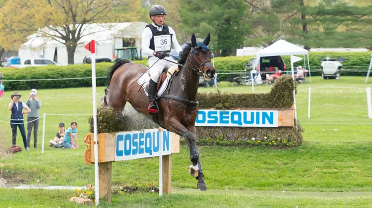 Michael Jung et Fischer Chipmunk FRH.