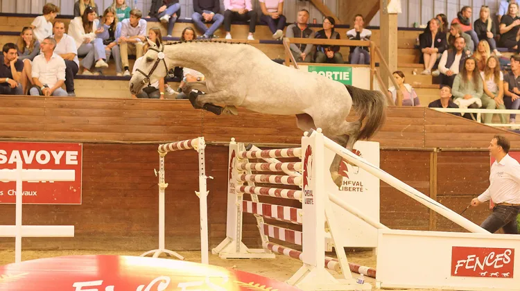 Naminka, top price de l'édition 2021 des ventes Fences Elite