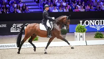 Alexandre Ayache et Jolene au CDI-W de Lyon.