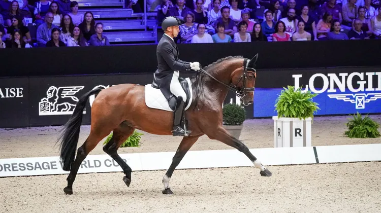 Alexandre Ayache et Jolene au CDI-W de Lyon.