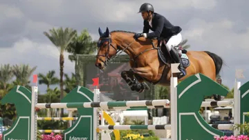 Nayel Nassar et Igor van de Wittemoere à Wellington