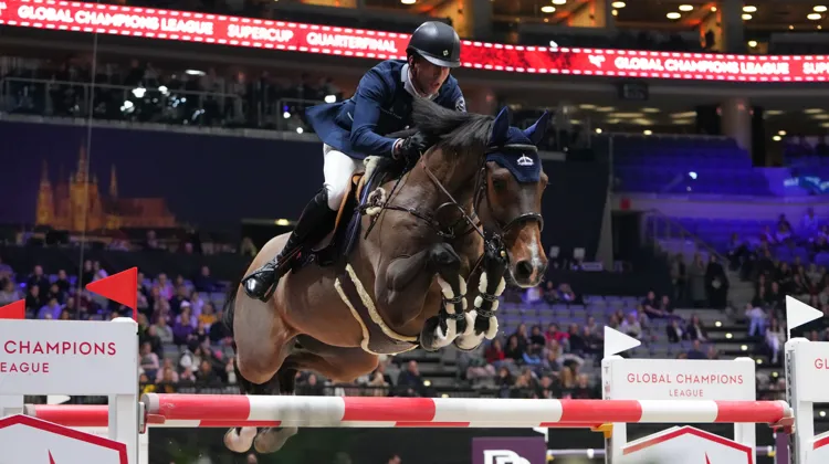 Harrie Smolders et Monaco N.O.P ont largement pris part à la victoire des Panthères de Paris en réalisant un sans-faute.
