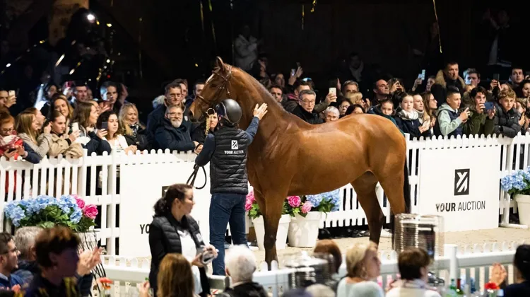 La première édition de YOUR AUCTION a été couronnée de succès.