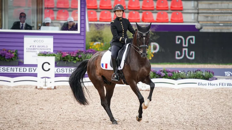 Cet été, Pauline Basquin a participé à ses premiers championnats du monde avec Sertorius de Rima à Herning