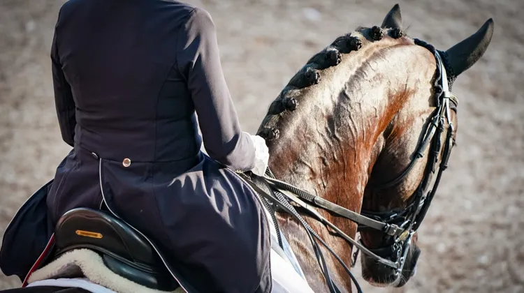 Image d'illustration