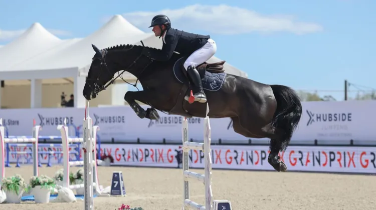 Victor Laudet et Étadam du Brêche, vainqueurs dans le Grand PrixPro Élite à 1,50m, support du Grand National FFE/AC Print.